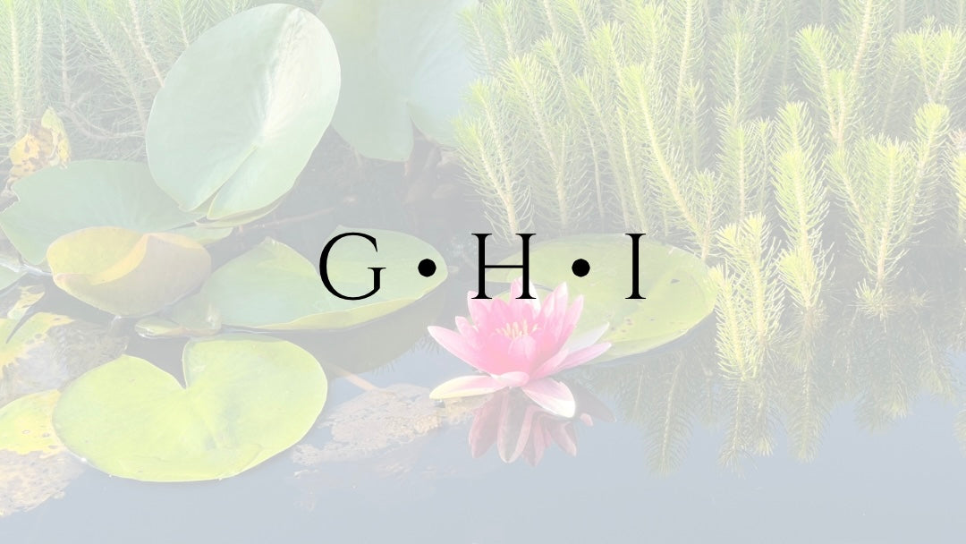G ∙ H ∙ I