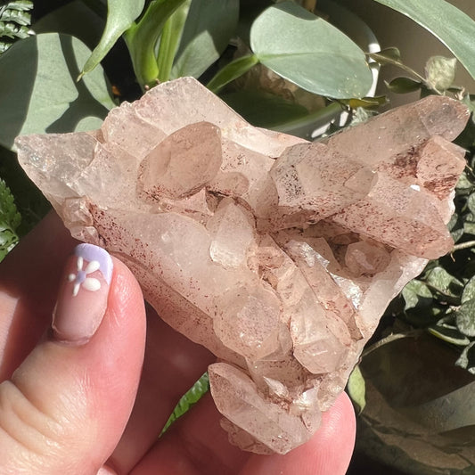 Pink Himalayan Quartz Cluster with speckled Hematite coating