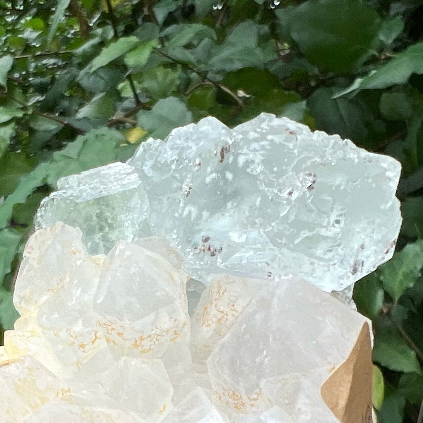 Optical Window Fluorite on chunky Quartz Cluster with golden Hematite