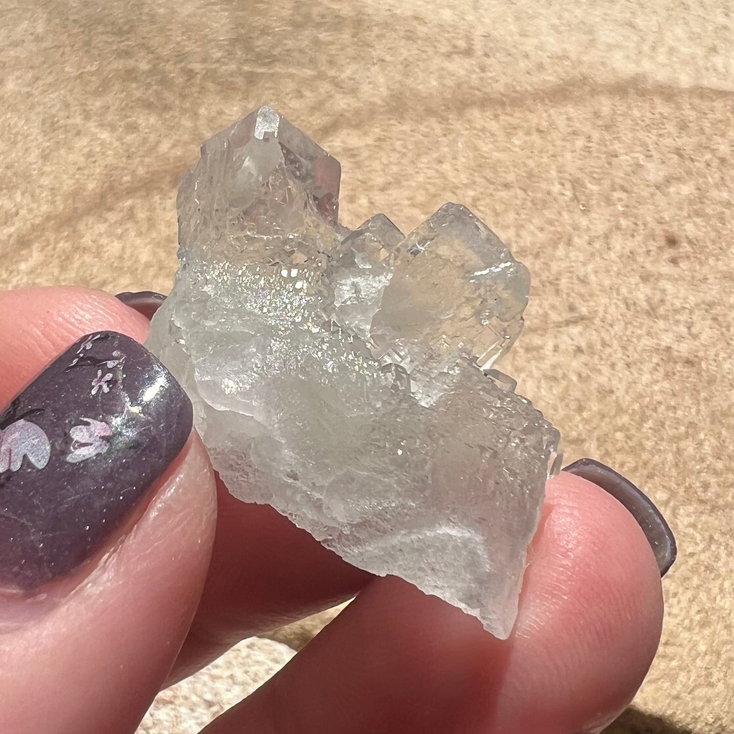 Mini Green Octahedral Fluorite Specimen - Fujian, China - small specimen in case