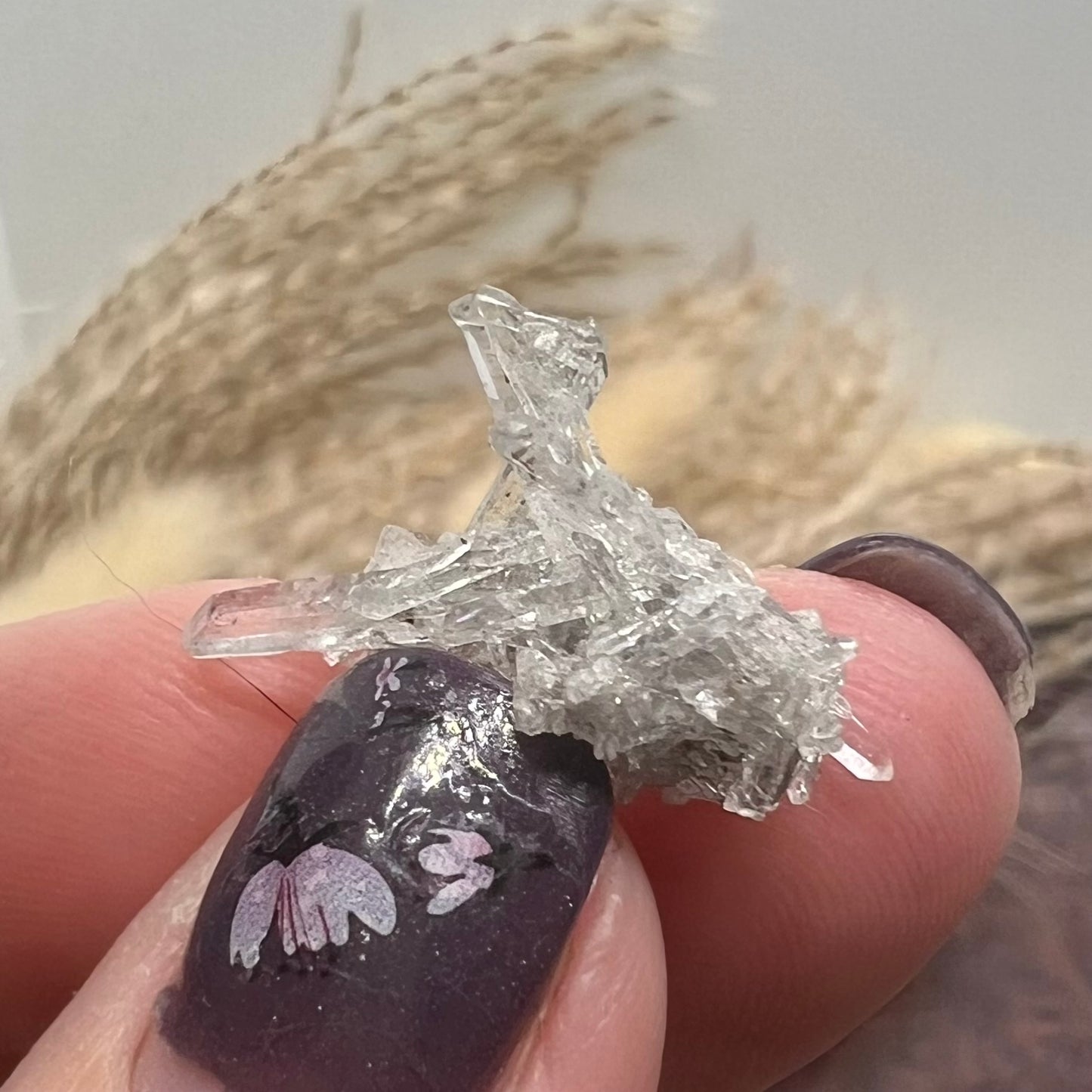 Inclusion 'Inky' Needle Quartz Mini Cluster (ii) - Jinkouhe, Sichuan Province, China