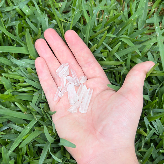 Gifts for Mother Earth