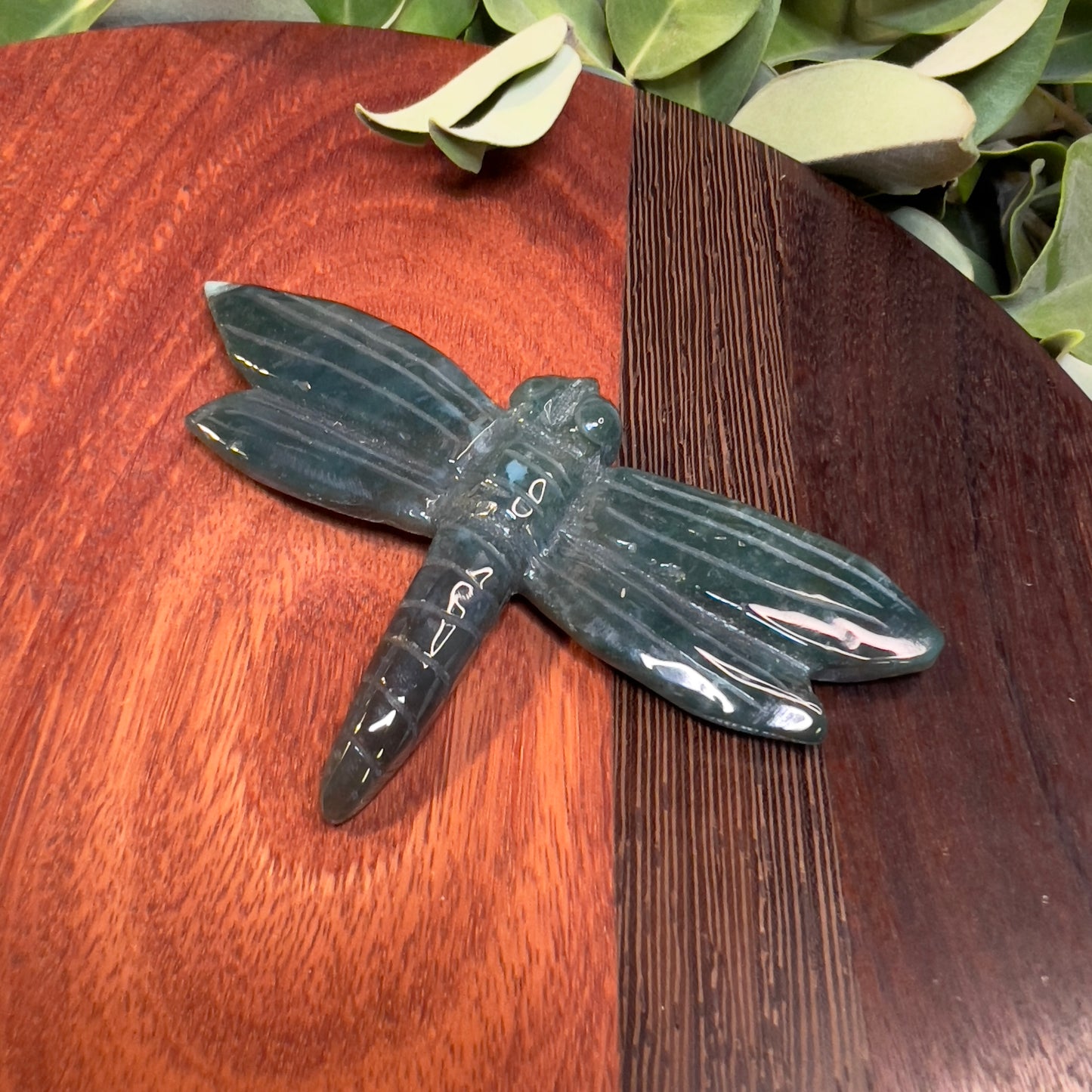 Ocean Jasper Dragonfly (i)