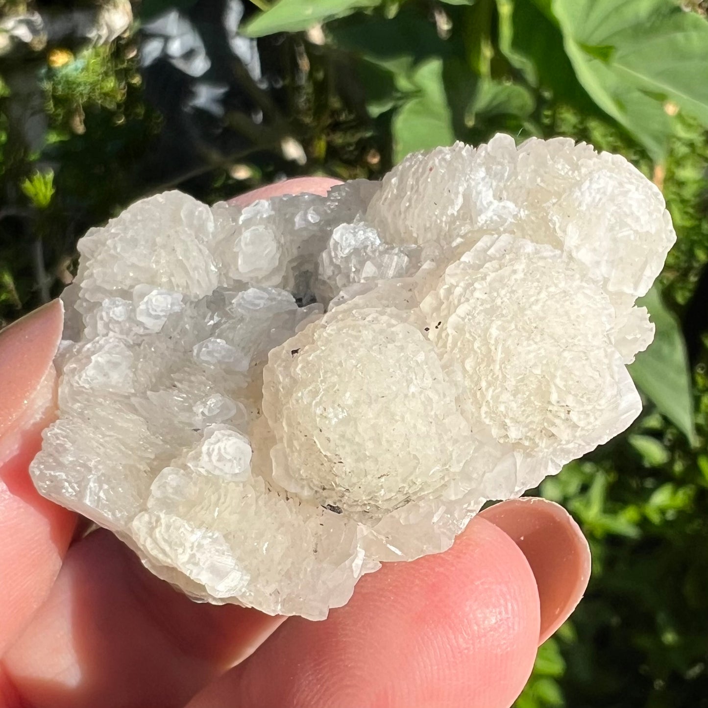‘Flower’ Calcite Mineral Specimen - Fujian, China | UV Reactive