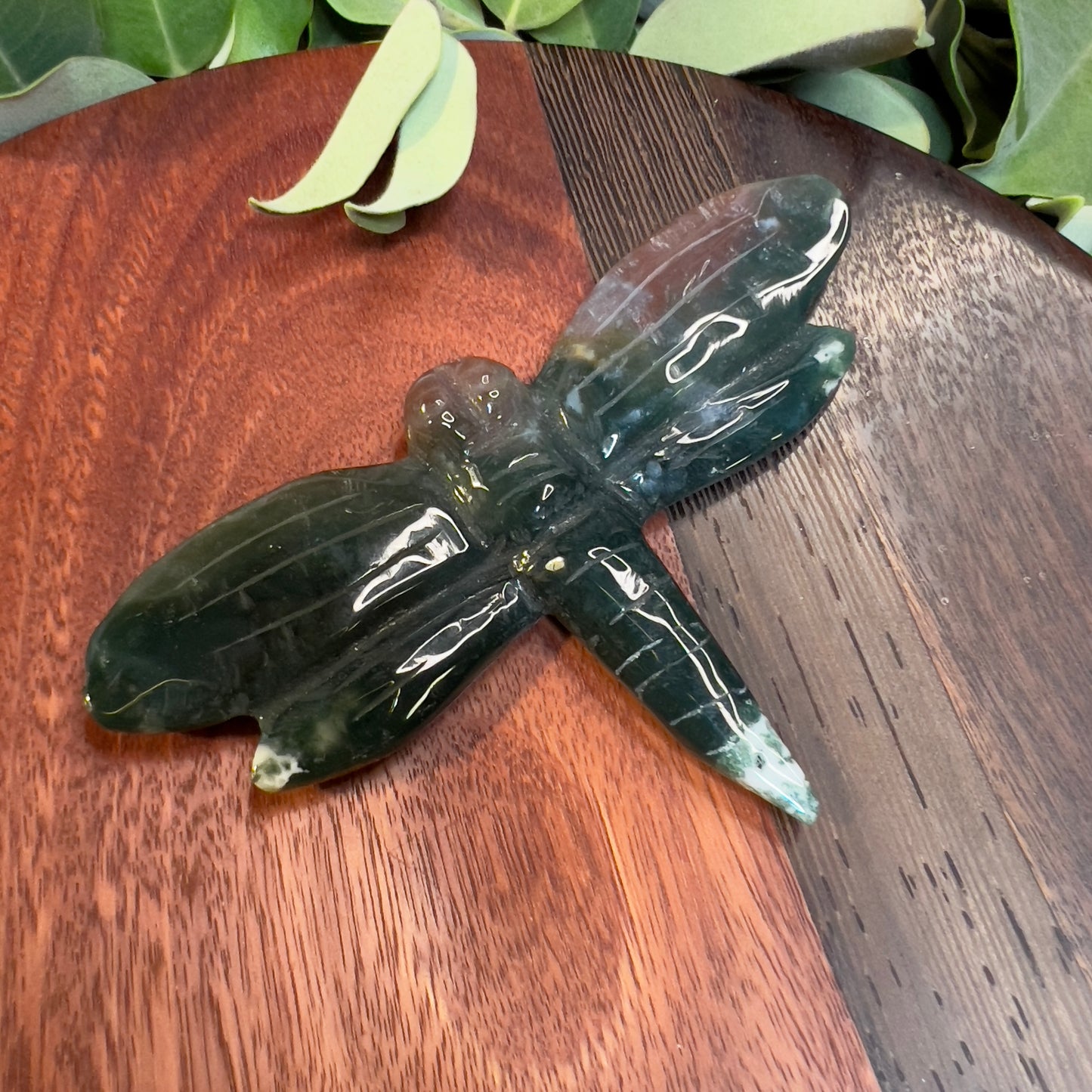 Ocean Jasper Dragonfly (ii)