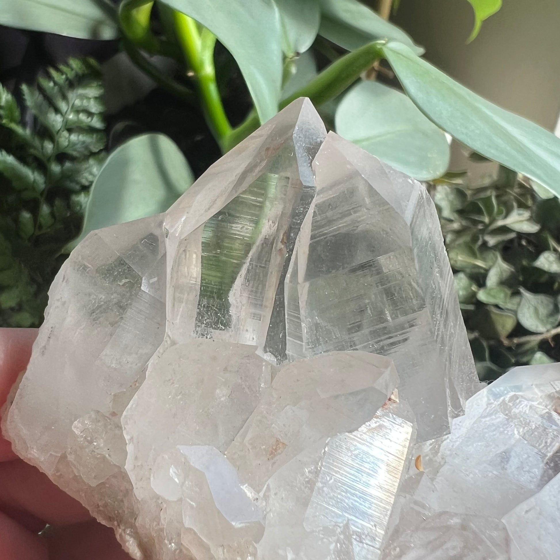 Himalayan Samadhi Pink Quartz Cluster