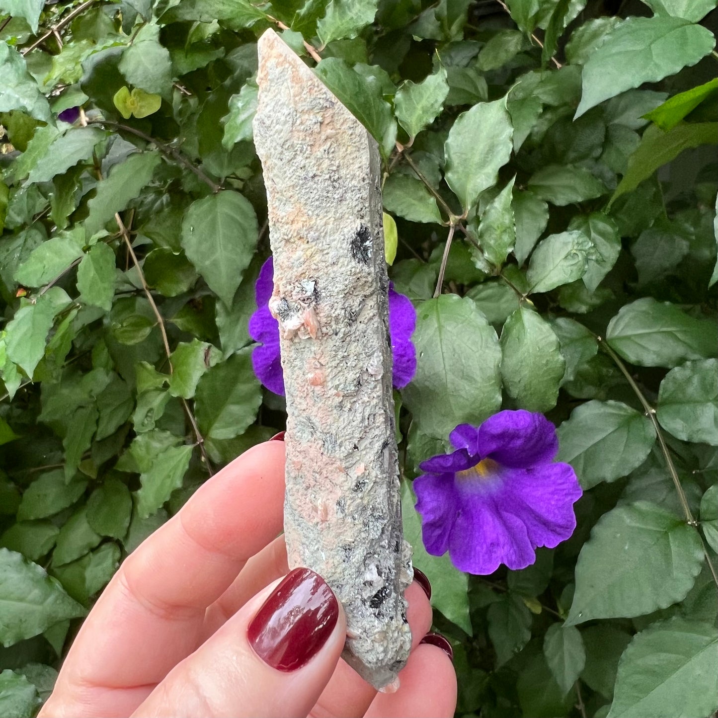 Inner Mongolian Quartz Point with Calcite, Specular Hematite, Hedenbergite and Iron Ore inclusions