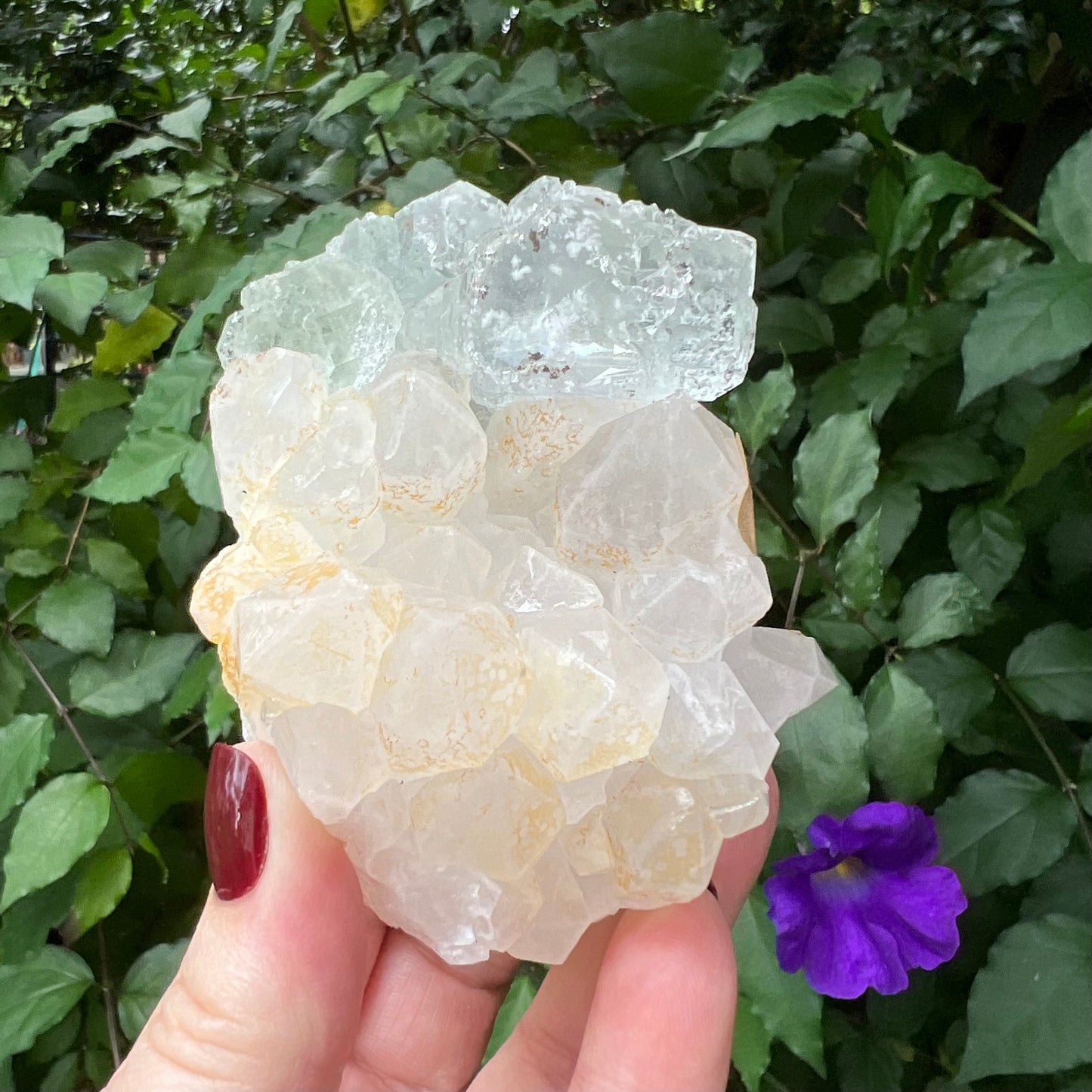 Optical Window Fluorite on chunky Quartz Cluster with golden Hematite