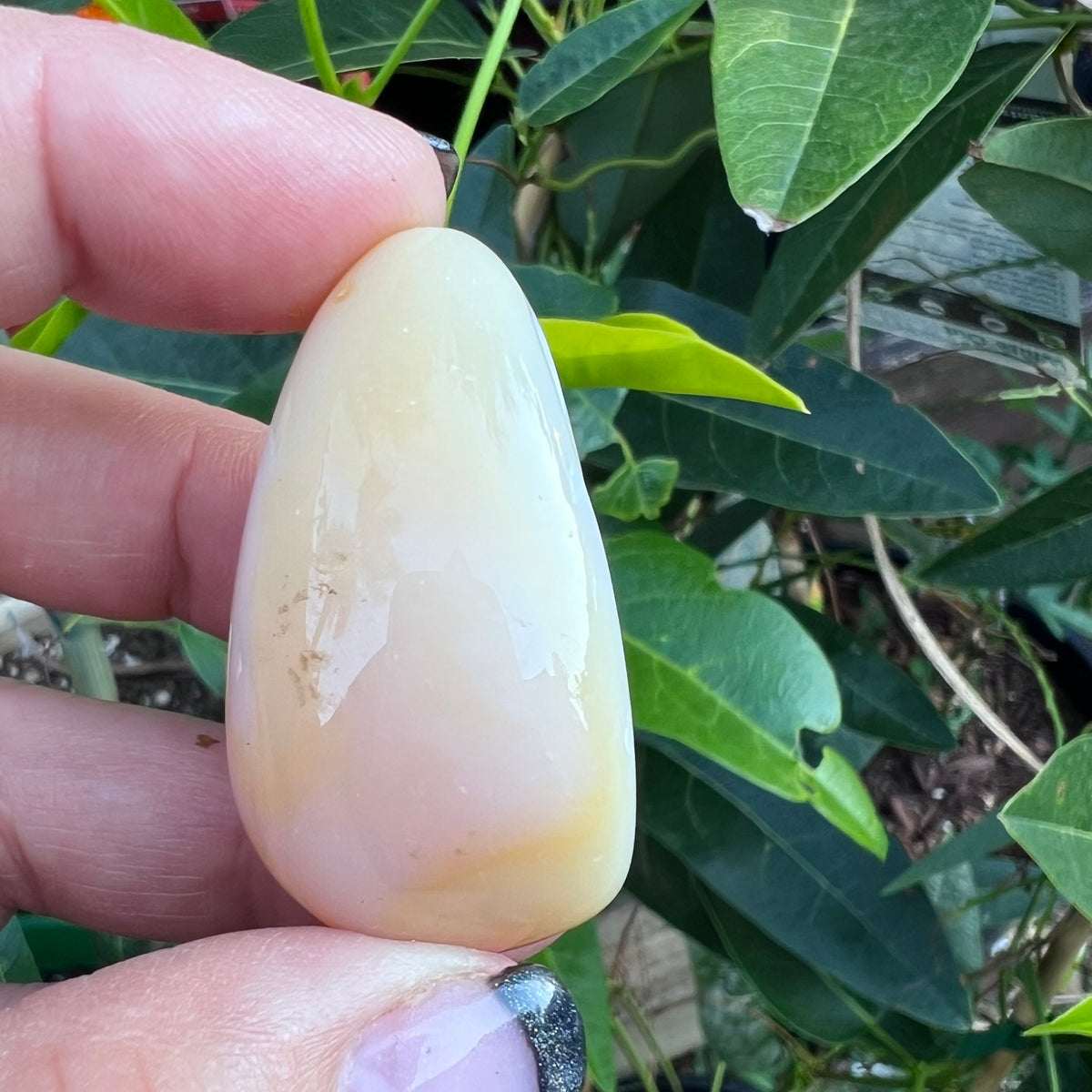Polished Apricot/Yellow Flower Agate Geode Egg with Crystalline Druzy Cave