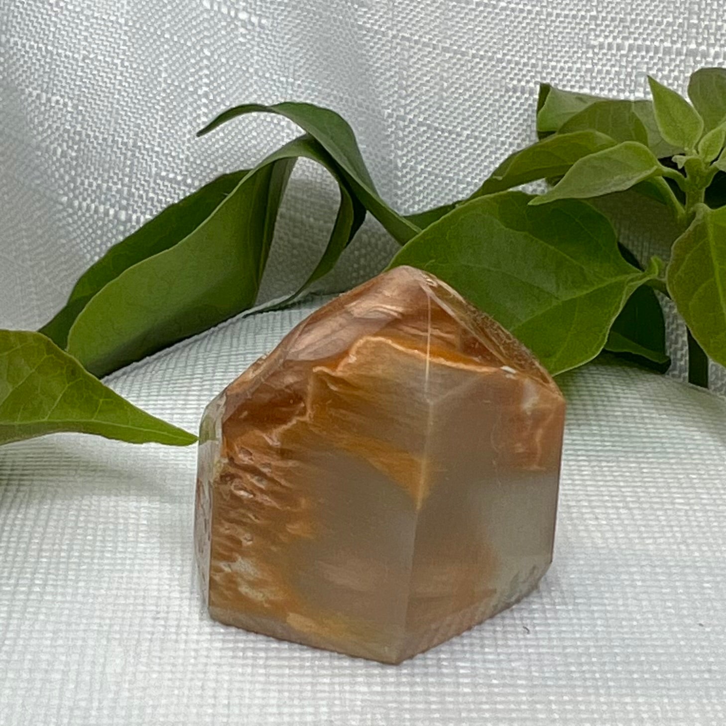 Amphibole Quartz Points with Blue Tara - Margarida Mine, Bahia, Brazil