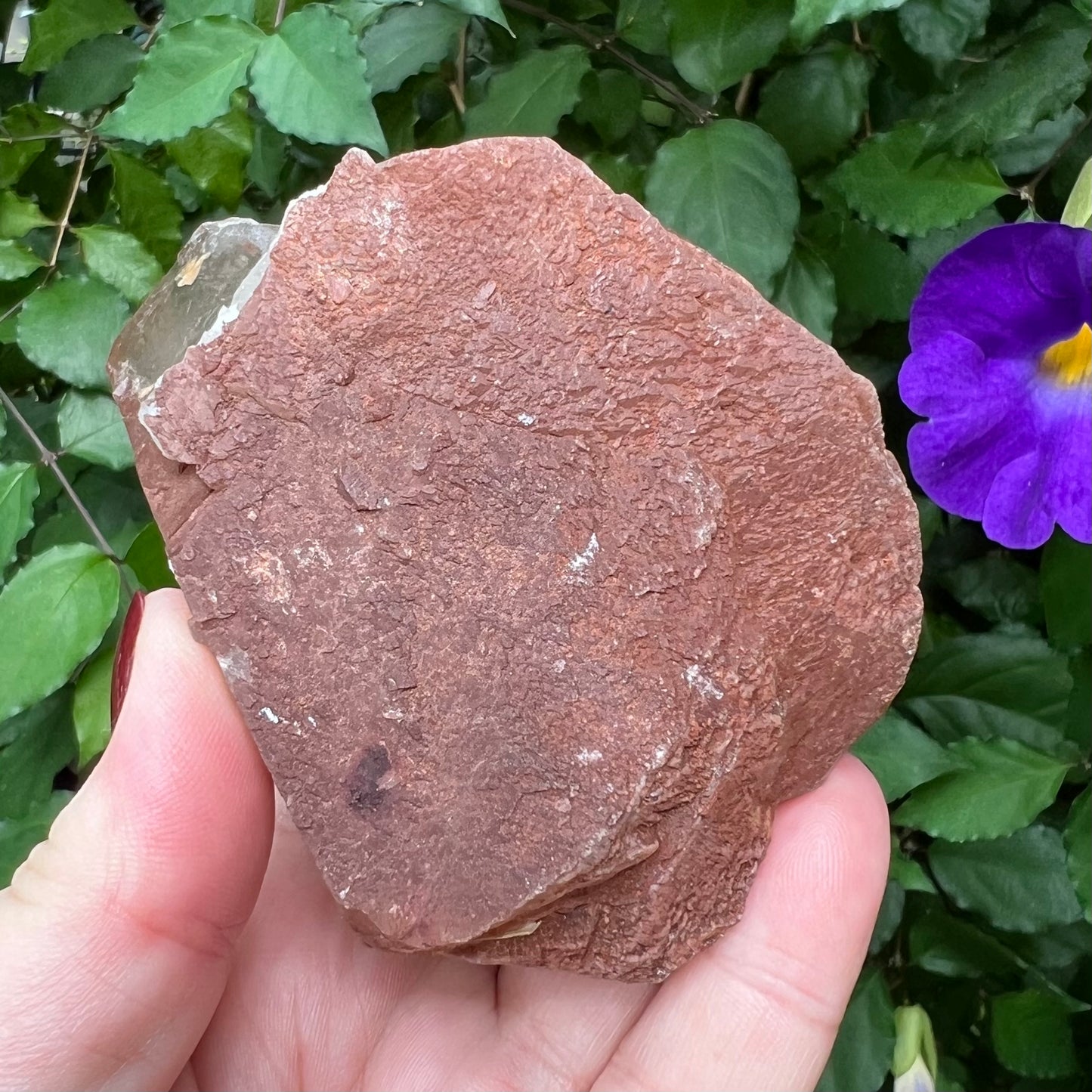 Red Hematoid Quartz Point Specimen - A super chunky self-healed double-terminated point on rose gold stand