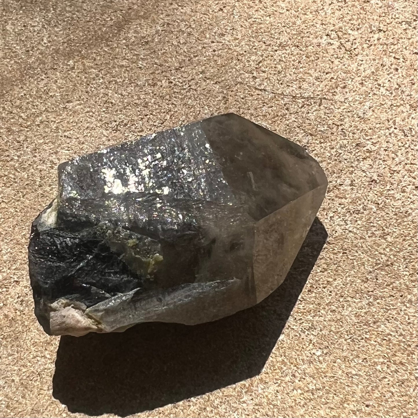 Morion Black Quartz with Smoky cap Specimen