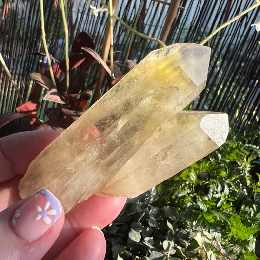 Citrine Cluster - Brazil