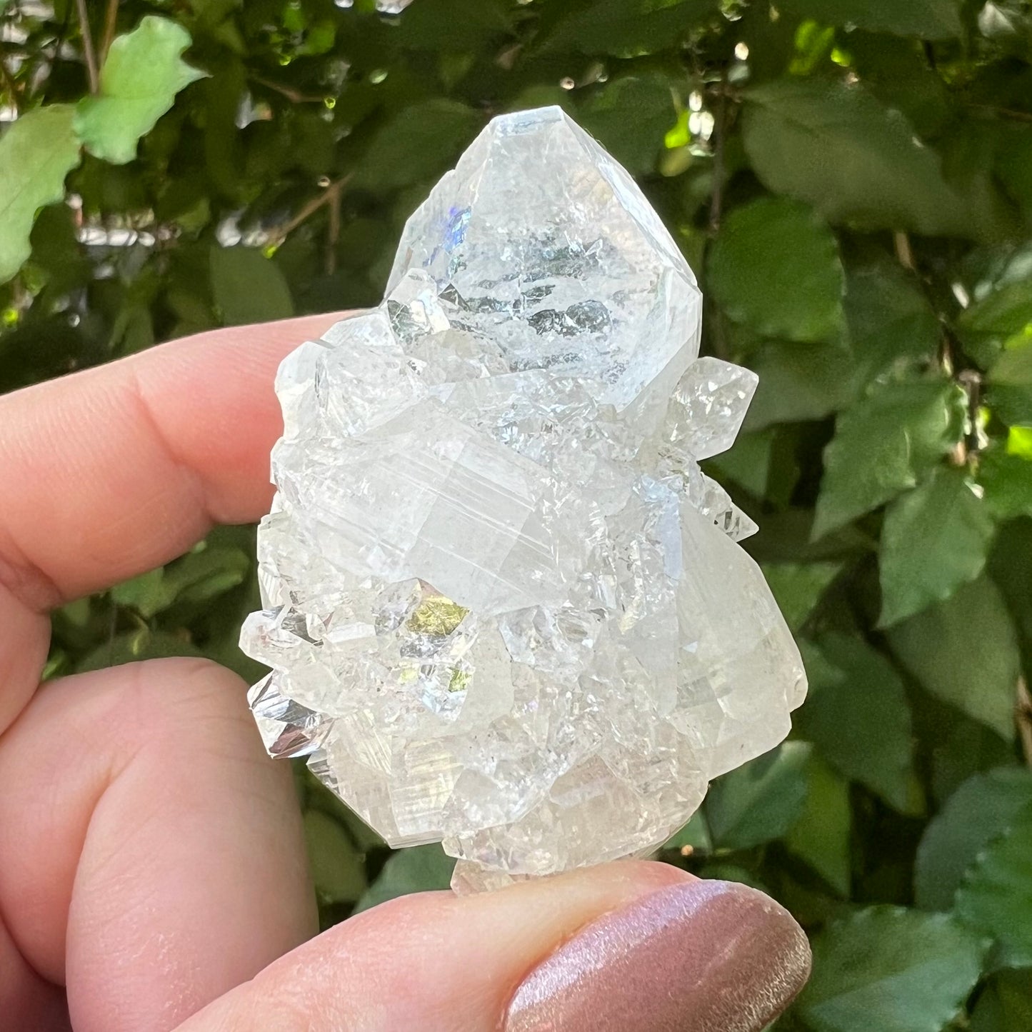 'Hen & Chickens' Mirror Apophyllite on Clear Calcite Matrix Cluster - Jalgoan District, Maharashtra, India
