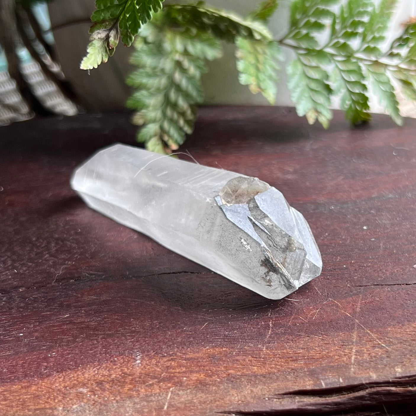 Double Terminated Black Phantom Quartz Point
