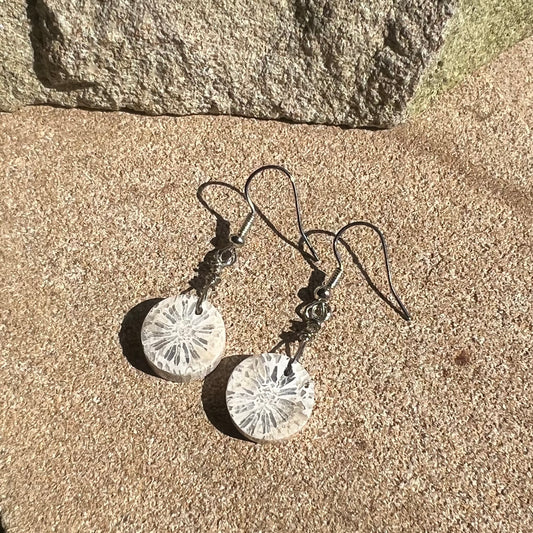 Fossilized Coral Earrings: Ancient Wisdom ∙ Endurance ∙ Spiritual insight