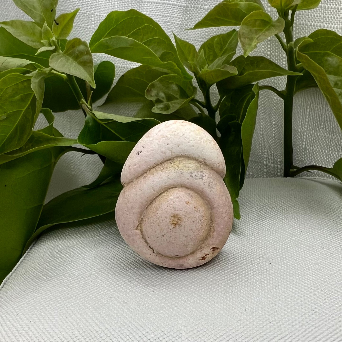 Menalite Specimen - Sedimentary - Goddess Stone - Fairy Stone