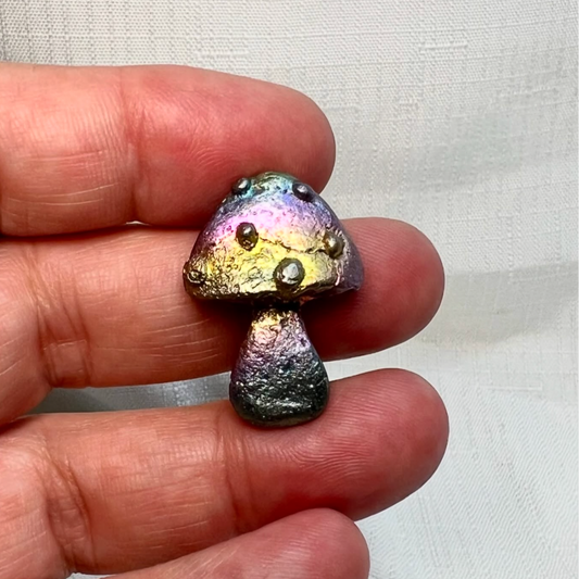 Rainbow Bismuth Cute Little Mushroom