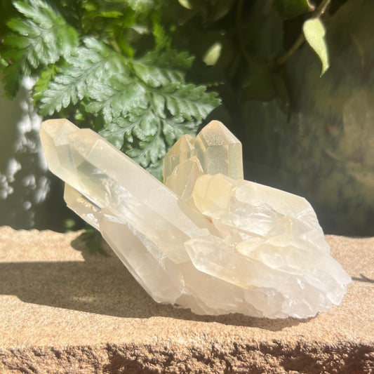 Small natural Golden Healer Quartz cluster