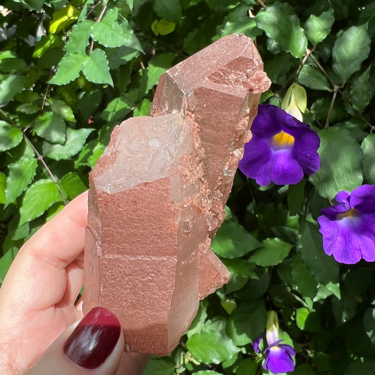 Red Hematoid Quartz Specimen - Double-terminated Twin Empathic Warrior with self-healed termination