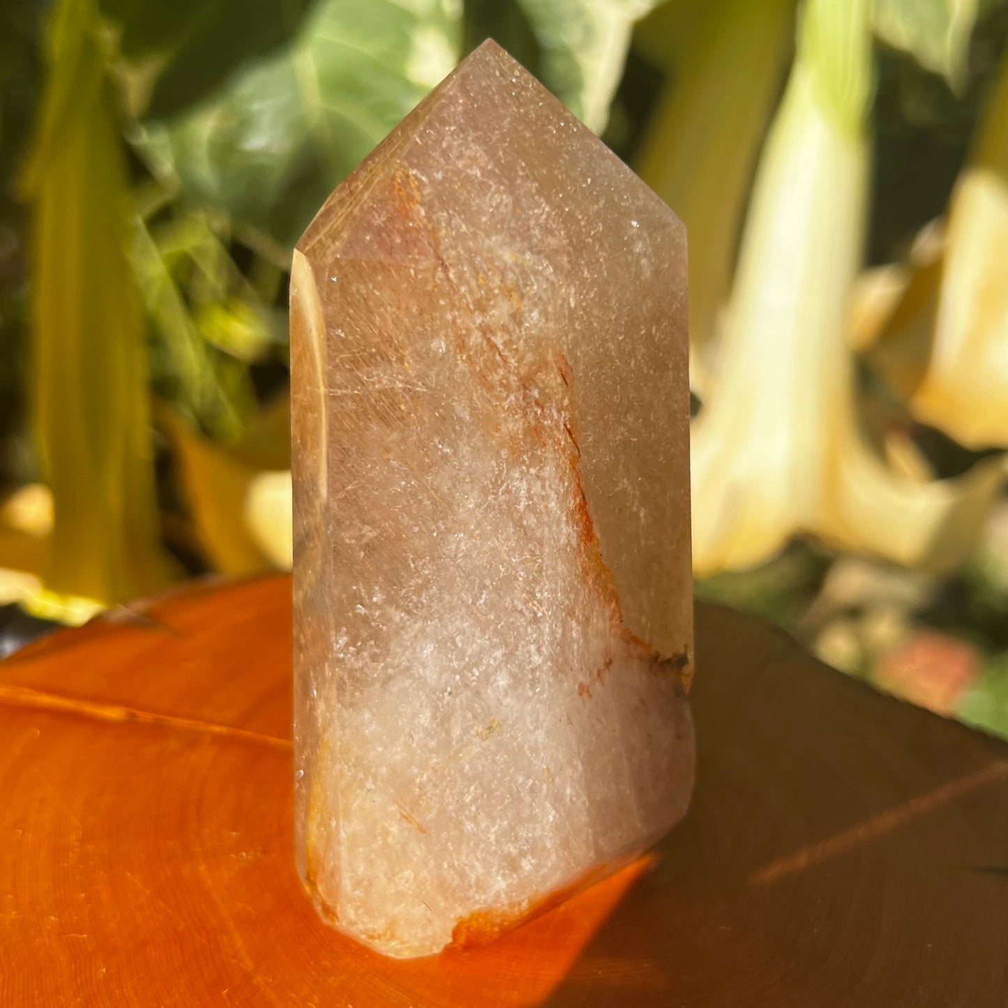 Golden Healer Sea Urchin Quartz Polished Point - Brazil | Hollandite, Iron and Rutile inclusions