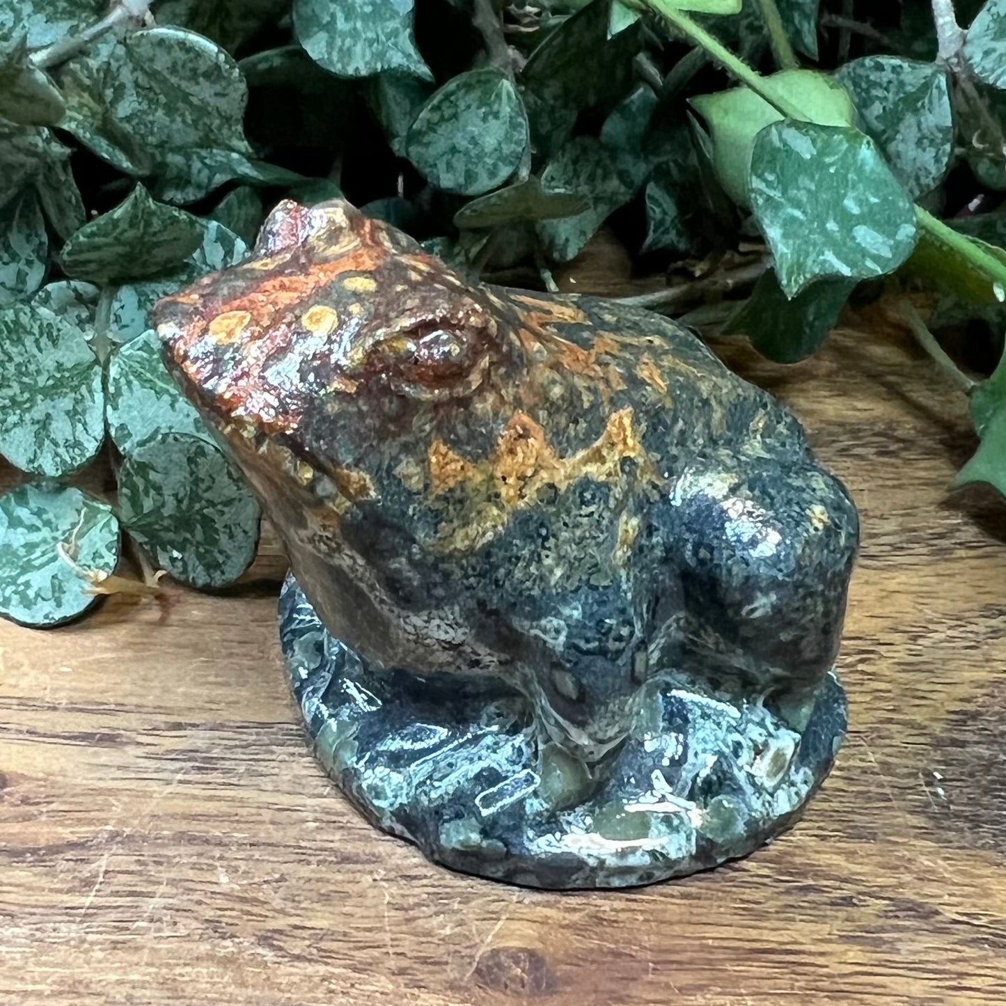 Rainforest Jasper Carved Frog
