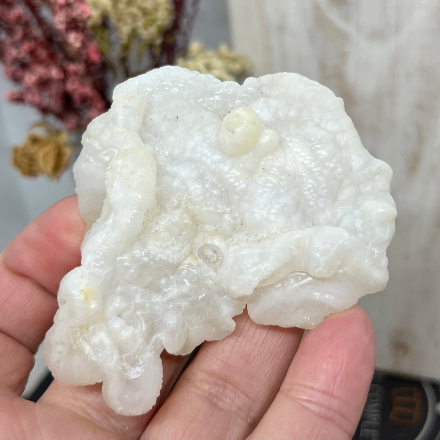 Chalcedony Mamillary Nodules - ‘Womb Stone’ Botryoidal Chalcedony - Morocco