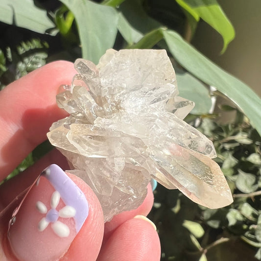 Small Golden Healer Quartz Cluster (Brazil)