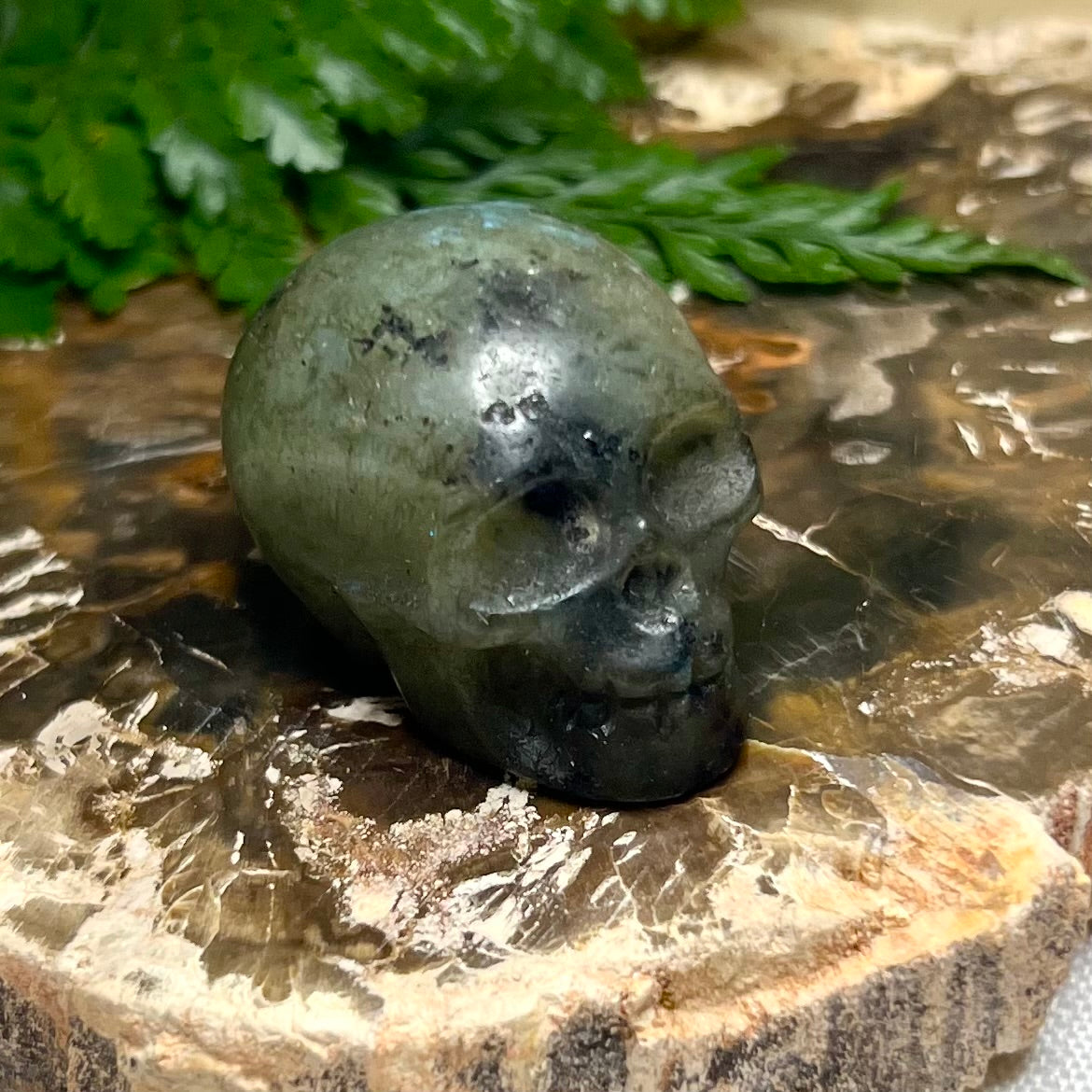 ‘Hank’ the Labradorite Skull