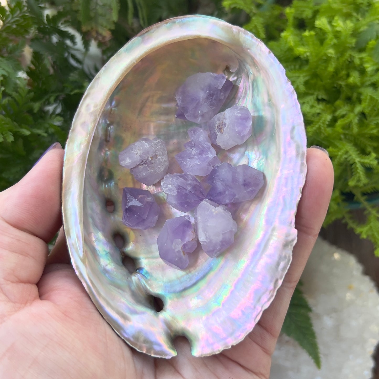Amethyst : Elestial Mini Clusters