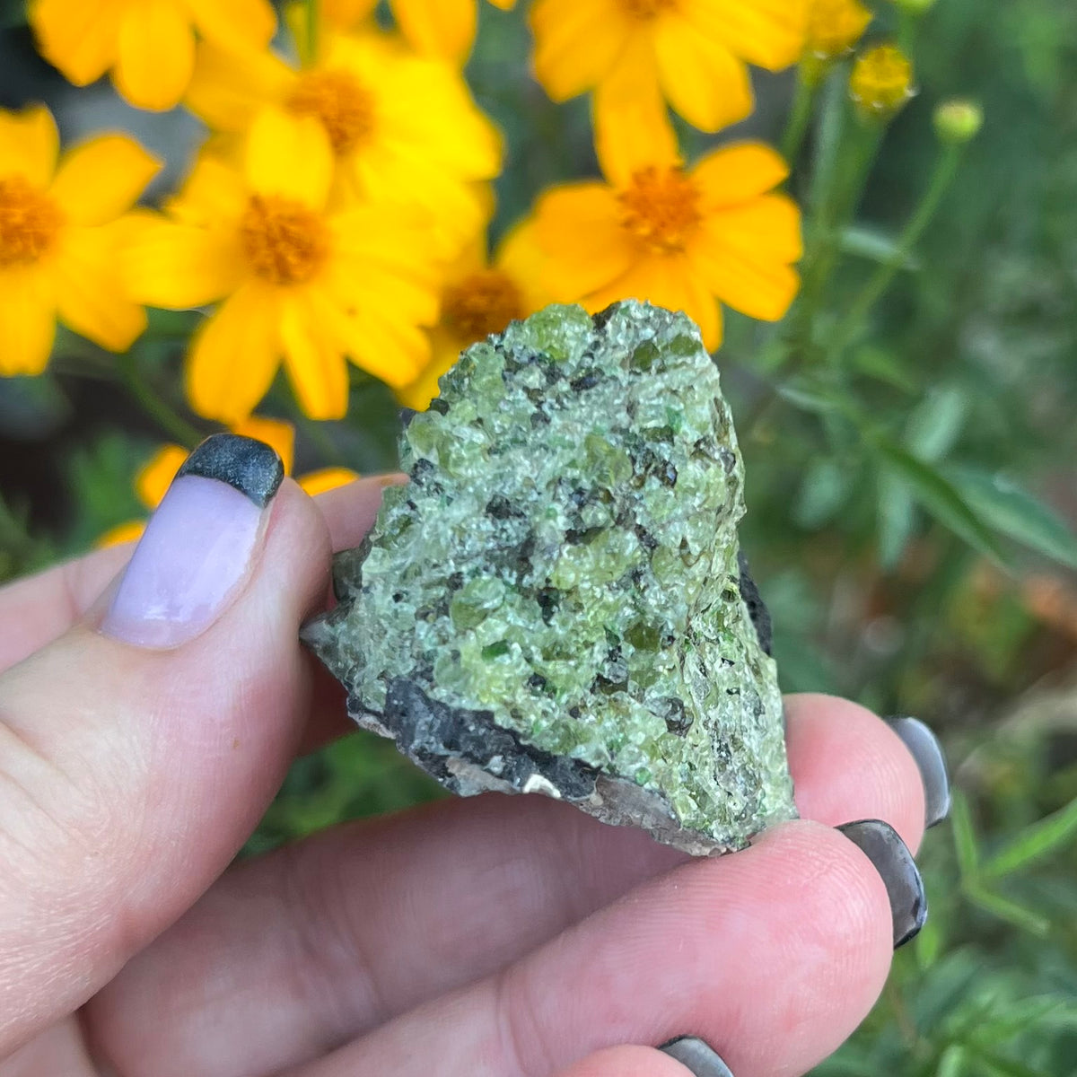 Olivine/Peridot rough specimen - Øtrøy, Norway