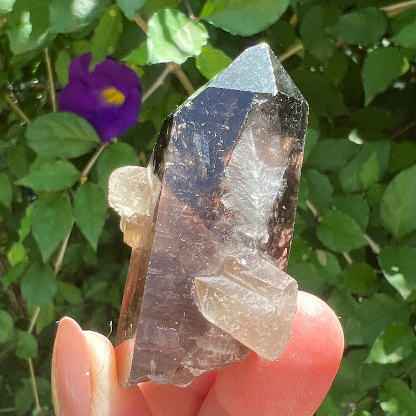 Manifestation Quartz | Smoky Quartz Point with complete Penetrator | Inner Child Quartz