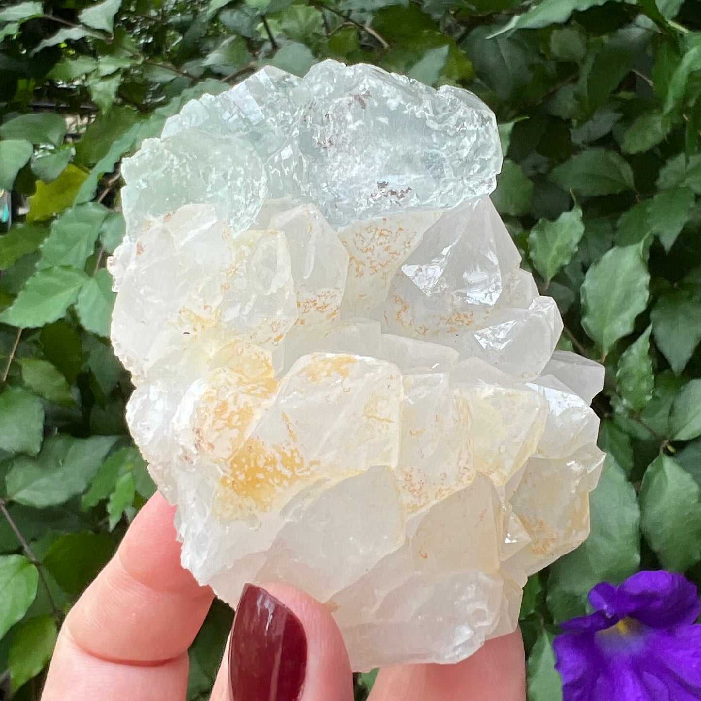 Optical Window Fluorite on chunky Quartz Cluster with golden Hematite
