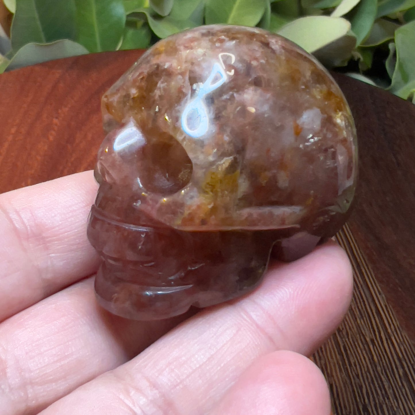 Skull Crystal Carving - Fire Hematite Quartz with Golden Healer sections