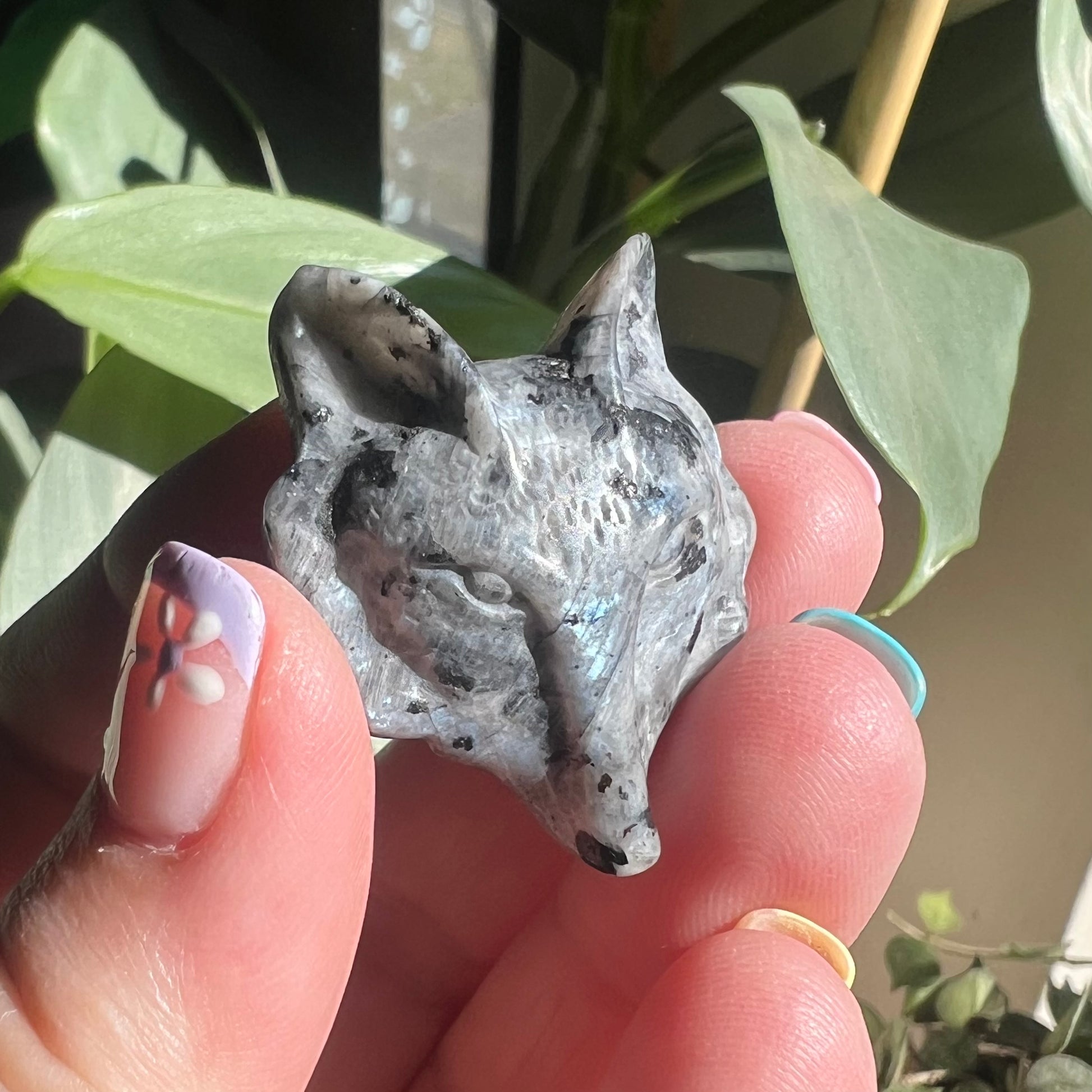 Larvikite Wolf Face Carving - Grey Wolf crystal face