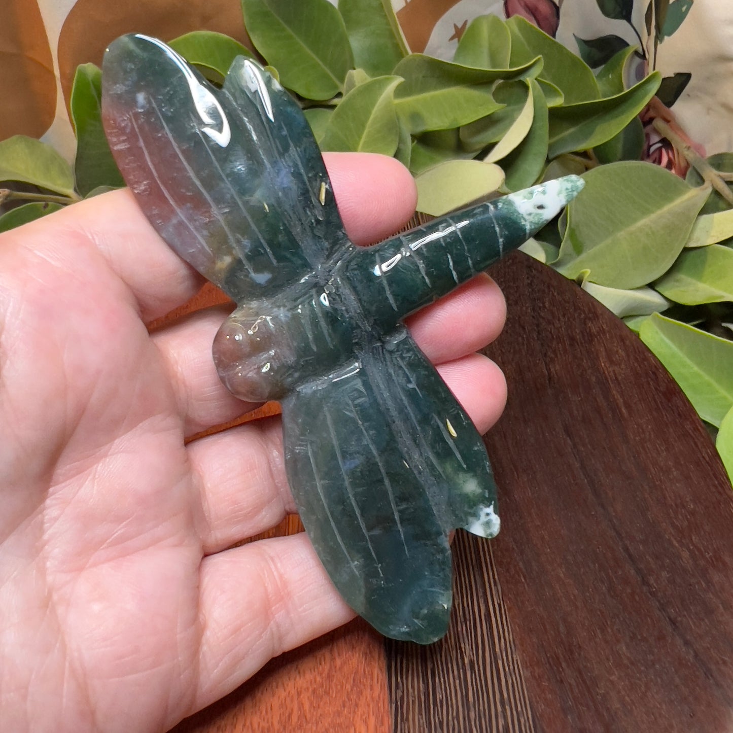 Ocean Jasper Dragonfly (ii)