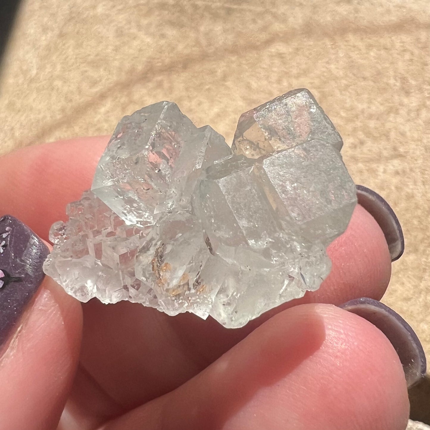 Mini Green Octahedral Fluorite Specimen - Fujian, China - small specimen in case