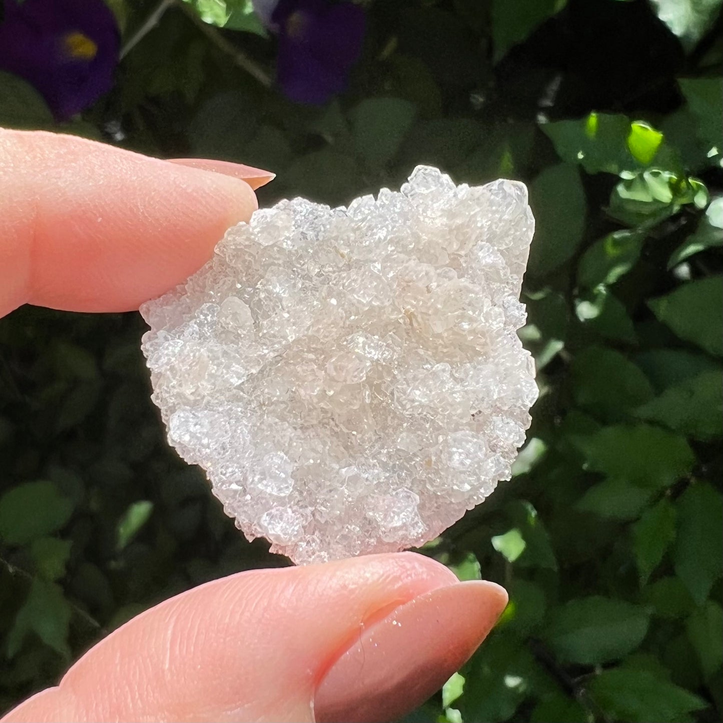Snowflake Apophyllite | Sugar Druzy Apophyllite - Lusterous & High Grade | Jalgoan District, Maharashtra, India -