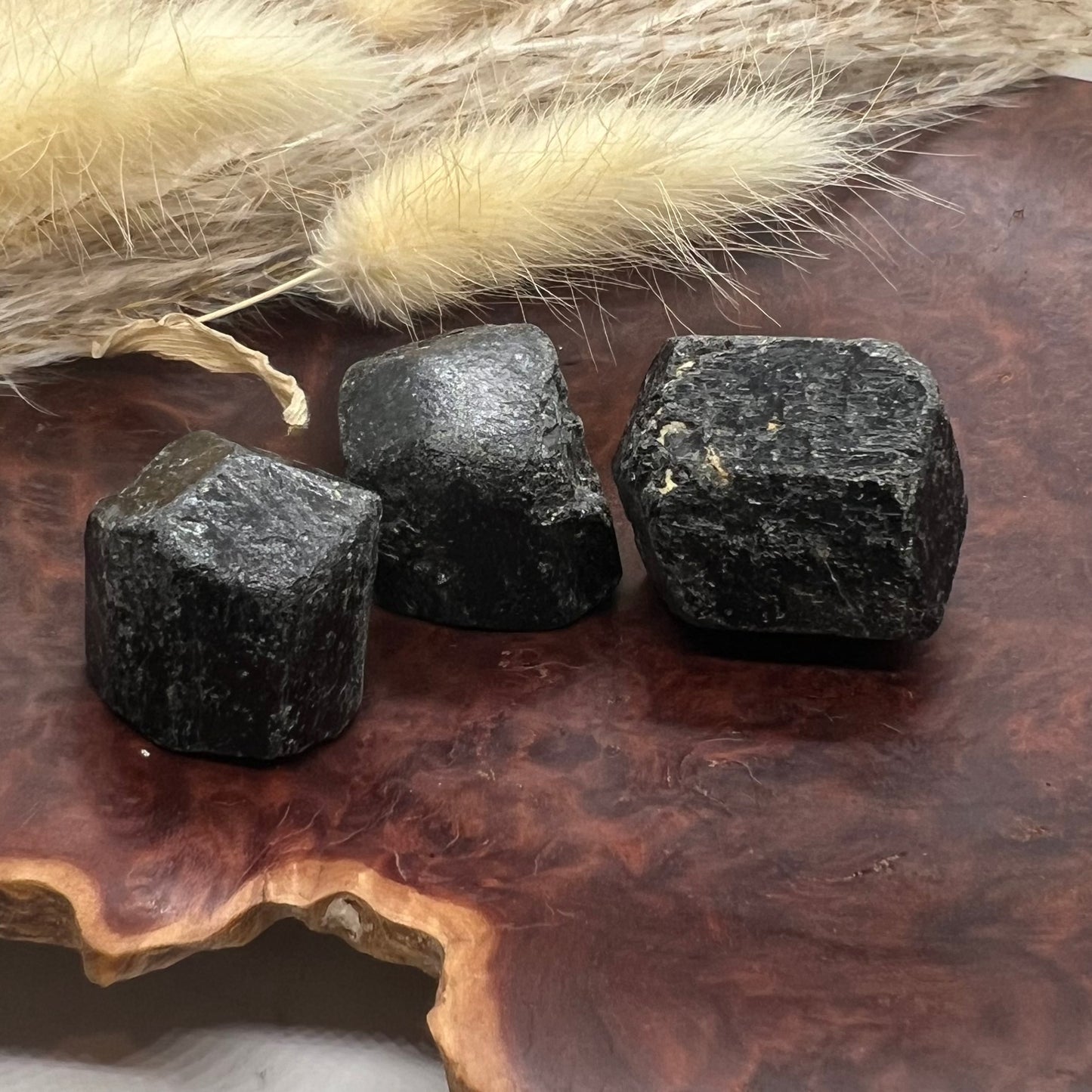 Raw Natural Black Tourmaline (c) - Double Mercedes Terminated Pocket Rock