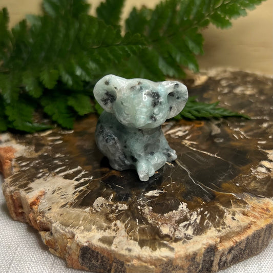 Kiwi Jasper Koala Carving