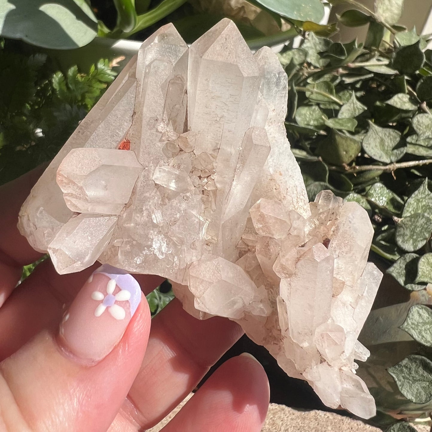 Himalayan Samadhi Pink Quartz Cluster
