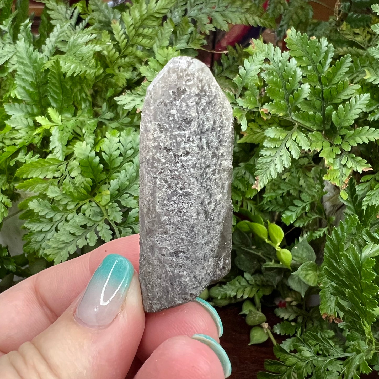 Smoky Quartz with Black Quartz Core and Thermal etching - Inner Mongolia