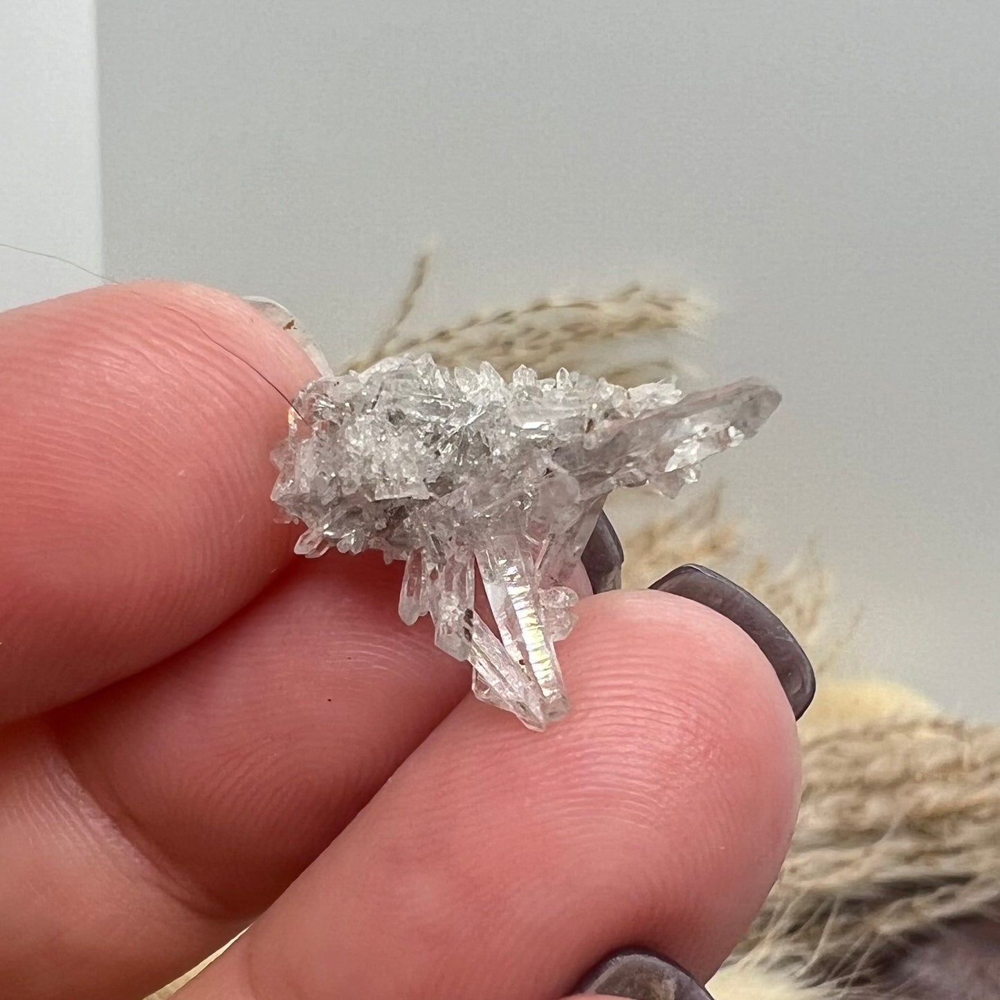 Inclusion 'Inky' Needle Quartz Mini Cluster (i) - Jinkouhe, Sichuan Province, China