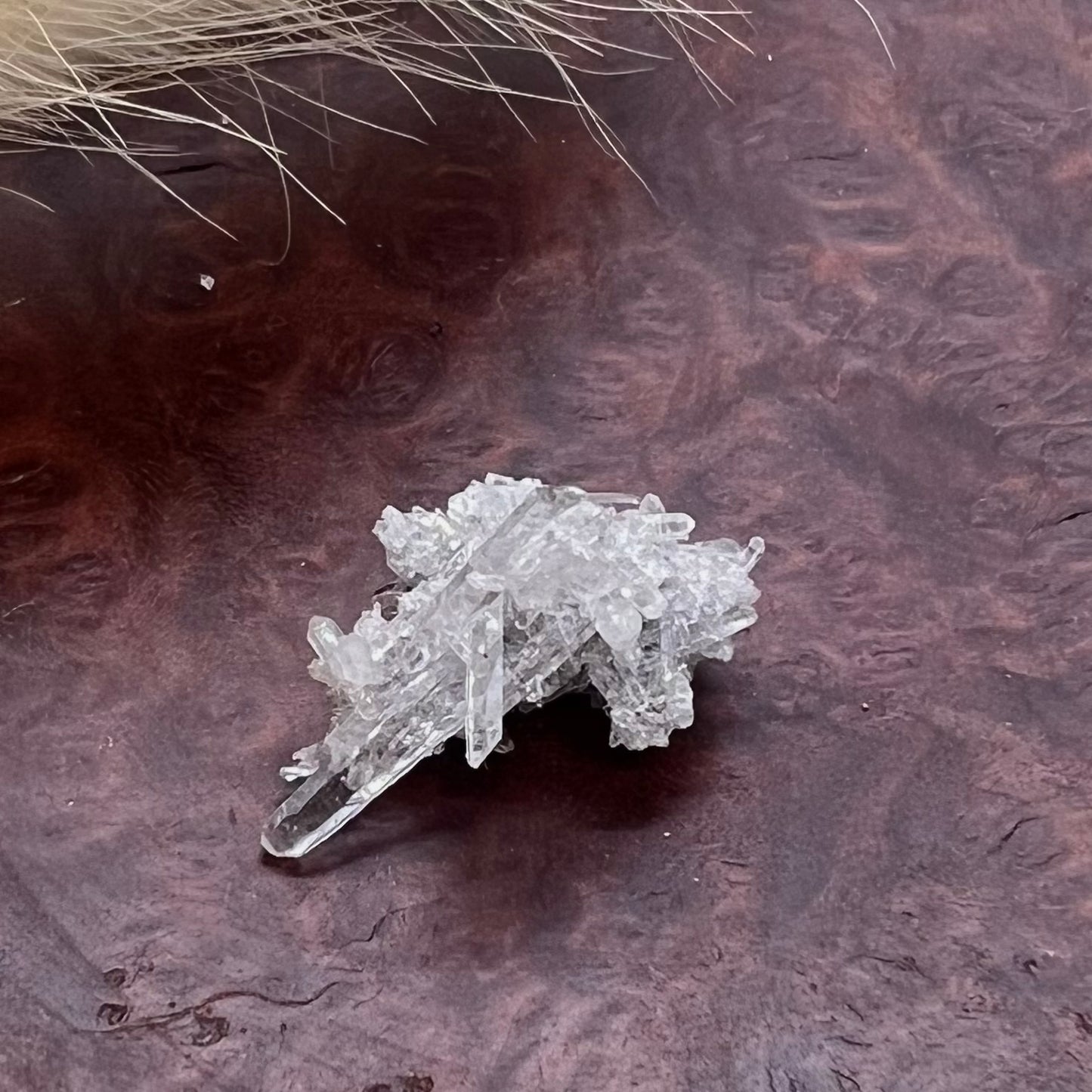 Inclusion 'Inky' Needle Quartz Mini Cluster (ii) - Jinkouhe, Sichuan Province, China