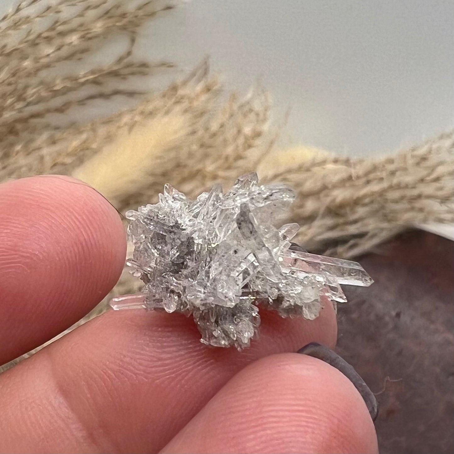 Inclusion 'Inky' Needle Quartz Mini Cluster (ii) - Jinkouhe, Sichuan Province, China