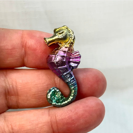 Rainbow Bismuth Seahorse