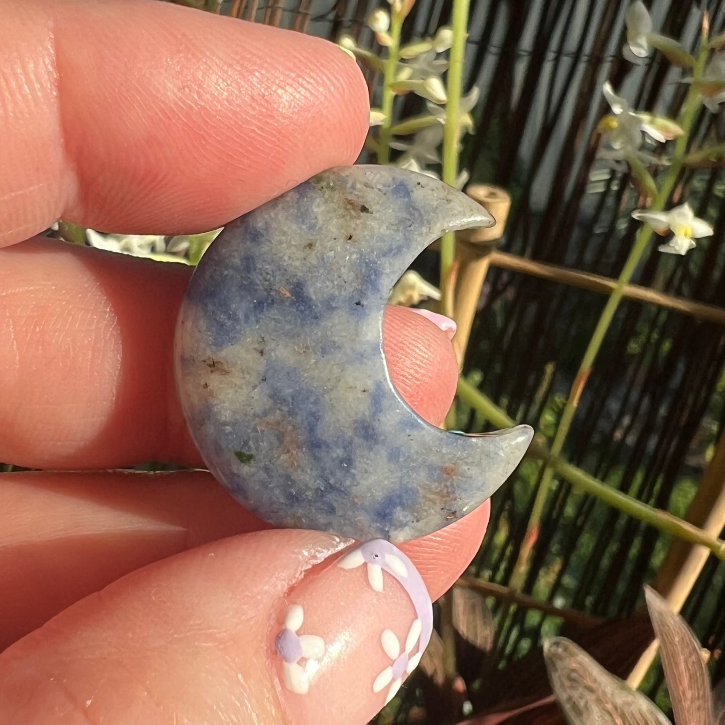 Sodalite Crescent Moon crystal