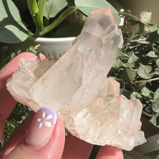 Pink Himalayan Samadhi Quartz Cluster - Twins
