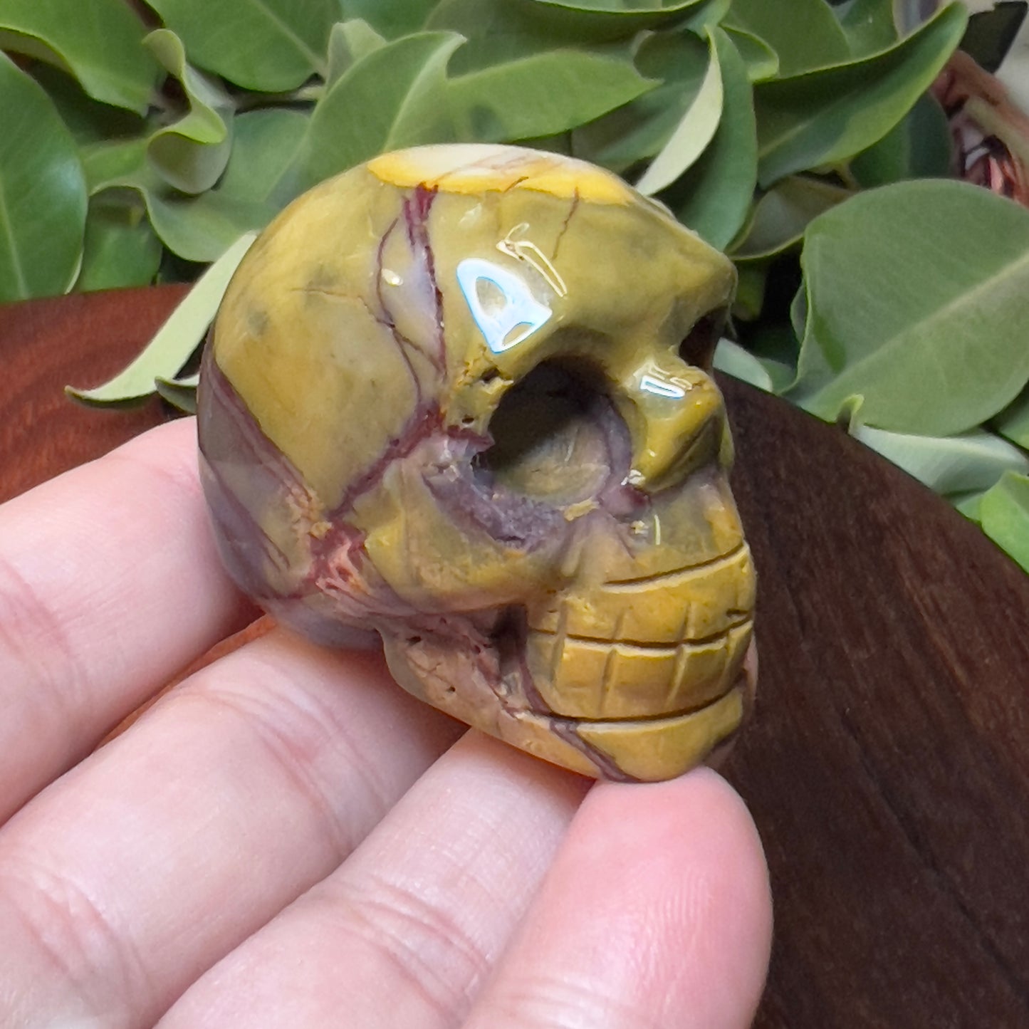 Skull Crystal Carving -Mookaite (1)