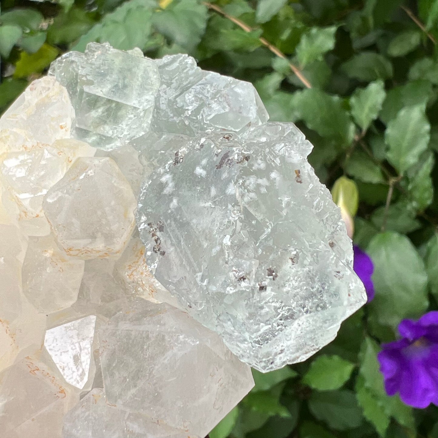Optical Window Fluorite on chunky Quartz Cluster with golden Hematite